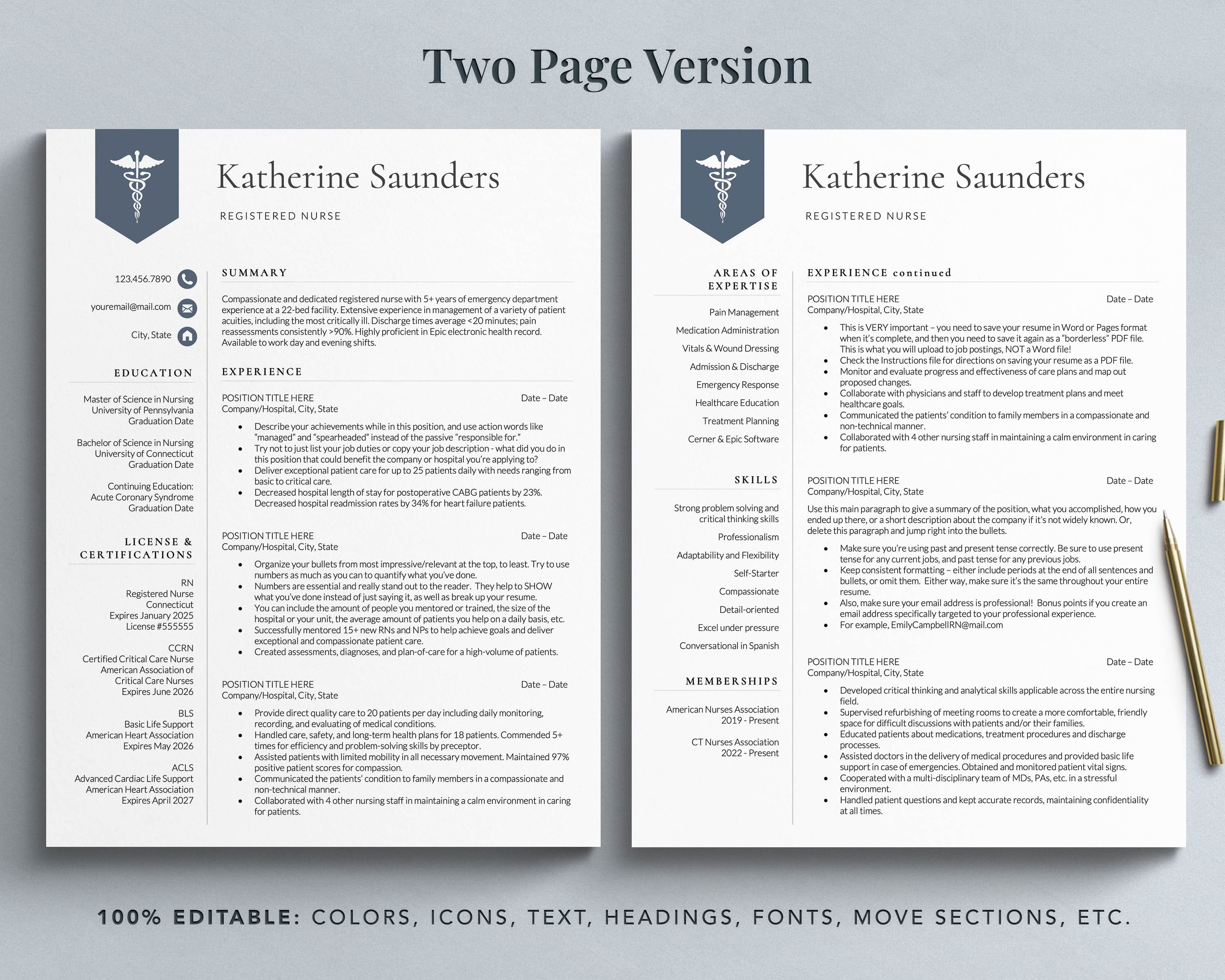 entry level nurse practitioner resume template